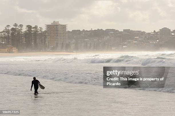 surfer going out of the water at manly beach - manly beach stock pictures, royalty-free photos & images