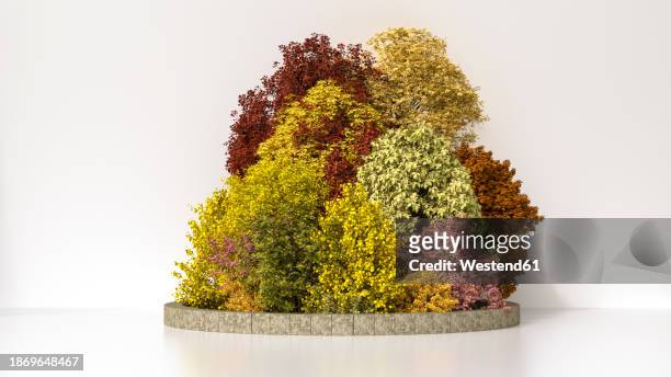 3d render of small autumn grove against white background - the fall stock illustrations