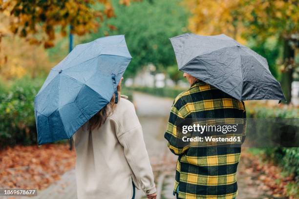 mother and daughter holding umbrellas and walking in autumn park - schoondochter stockfoto's en -beelden