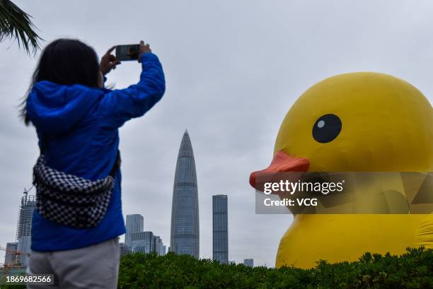 Meter-tall inflatable duck by Dutch artist Florentijn Hofman is exhibited at Shenzhen Bay on December 20, 2023 in Shenzhen, Guangdong Province of...