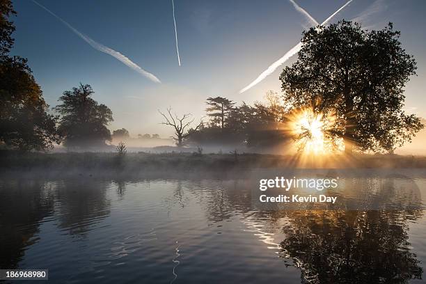 slough sunrise - swamp stock pictures, royalty-free photos & images