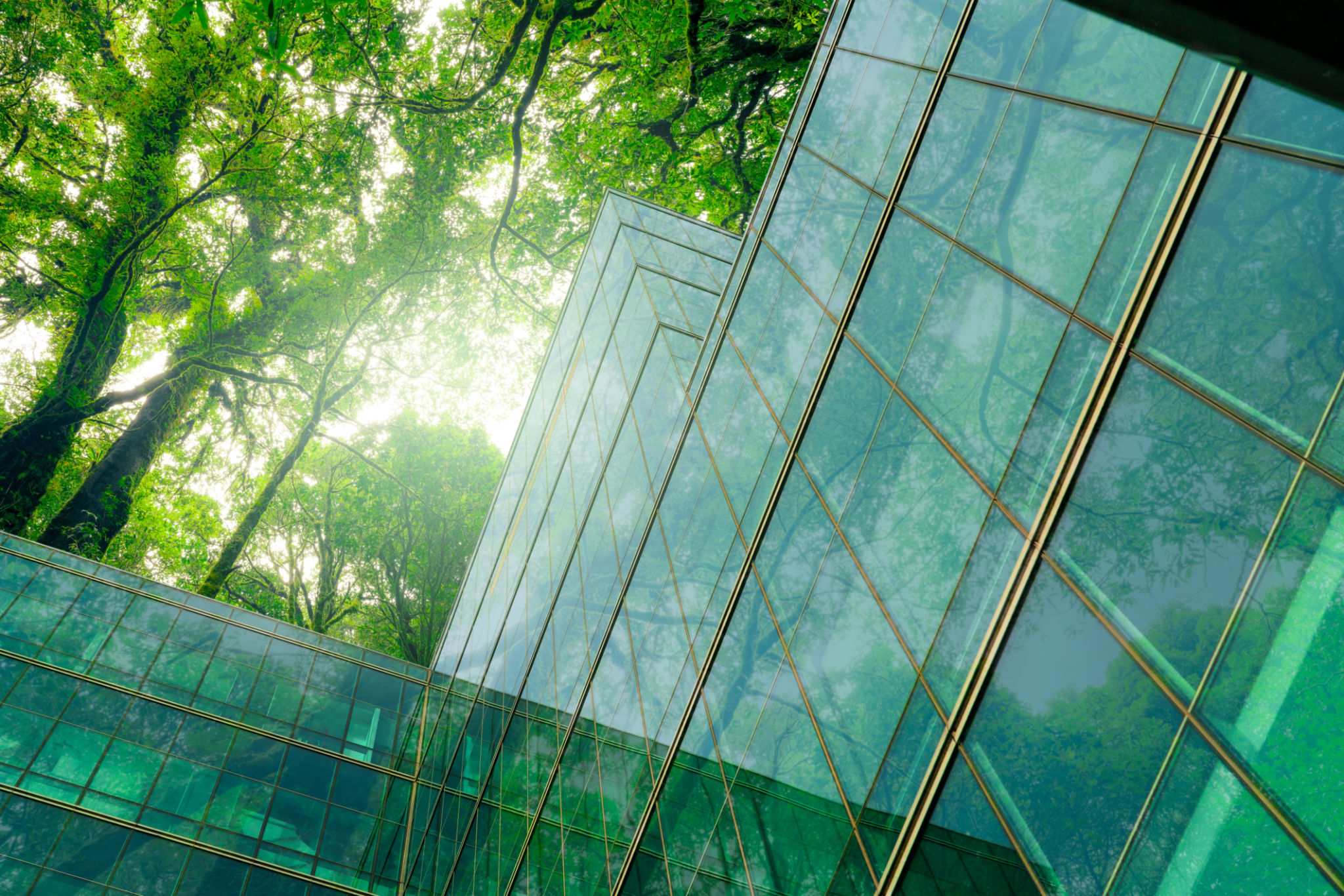 green construction