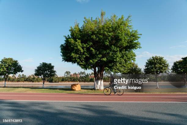blurred motion of people bicycling on bike path in park - xiamen stock pictures, royalty-free photos & images