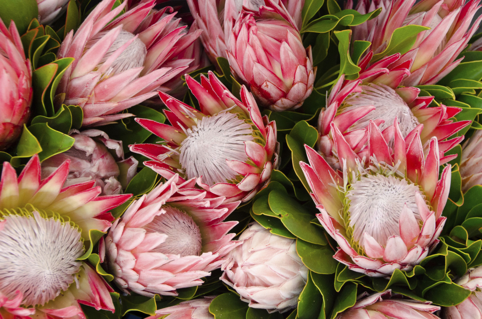 custom floral arrangements