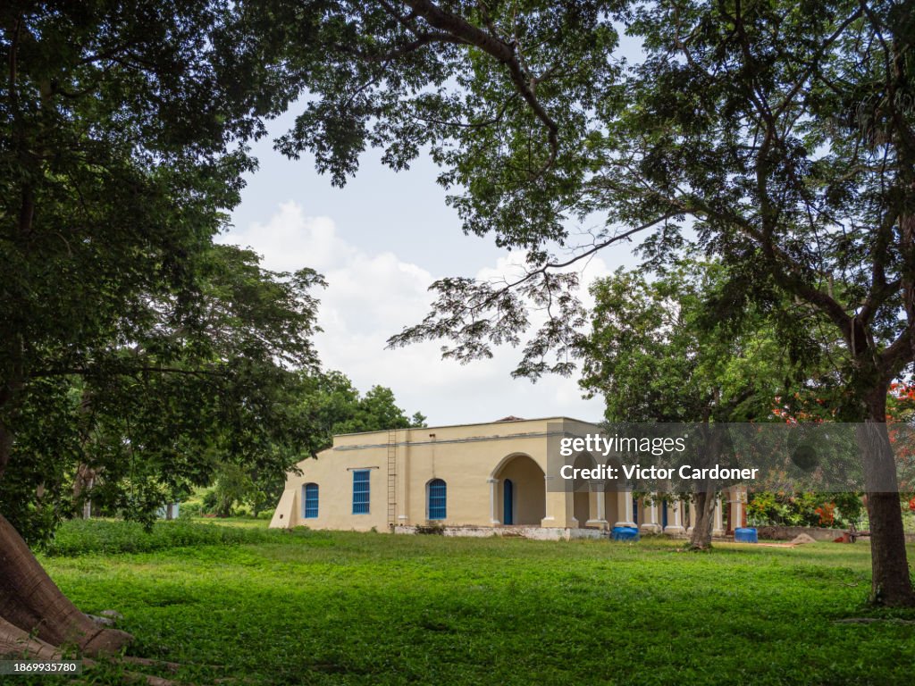 Abandoned tobacco plantation