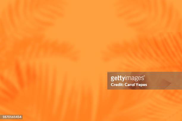 shadows of tropical leaves in orange background - summer abstract background foto e immagini stock