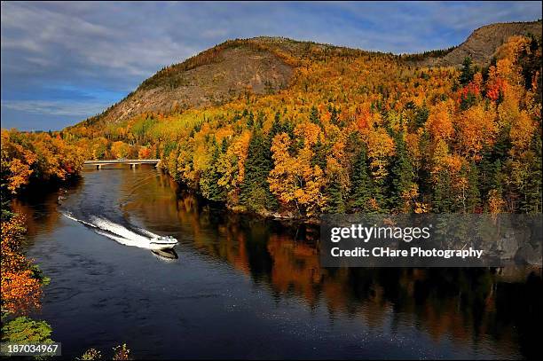 speeding through autumn - newfoundland and labrador stock pictures, royalty-free photos & images