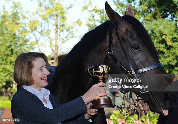 Melbourne Cup winning trainer Gai Waterhouse poses with her Melbourne Cup winning horse Fiorente during a media call at Flemington Racecourse on...