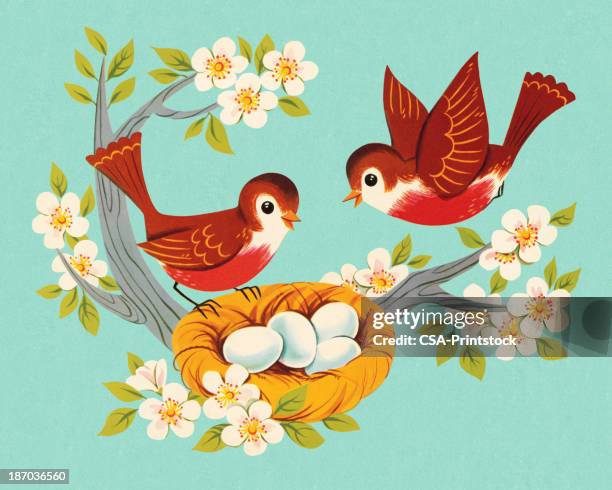 two robins and a nest - birds and flowers stock illustrations