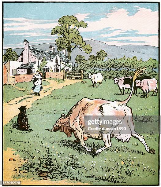 cow with the crumpled horn - rustic farmhouse stock illustrations