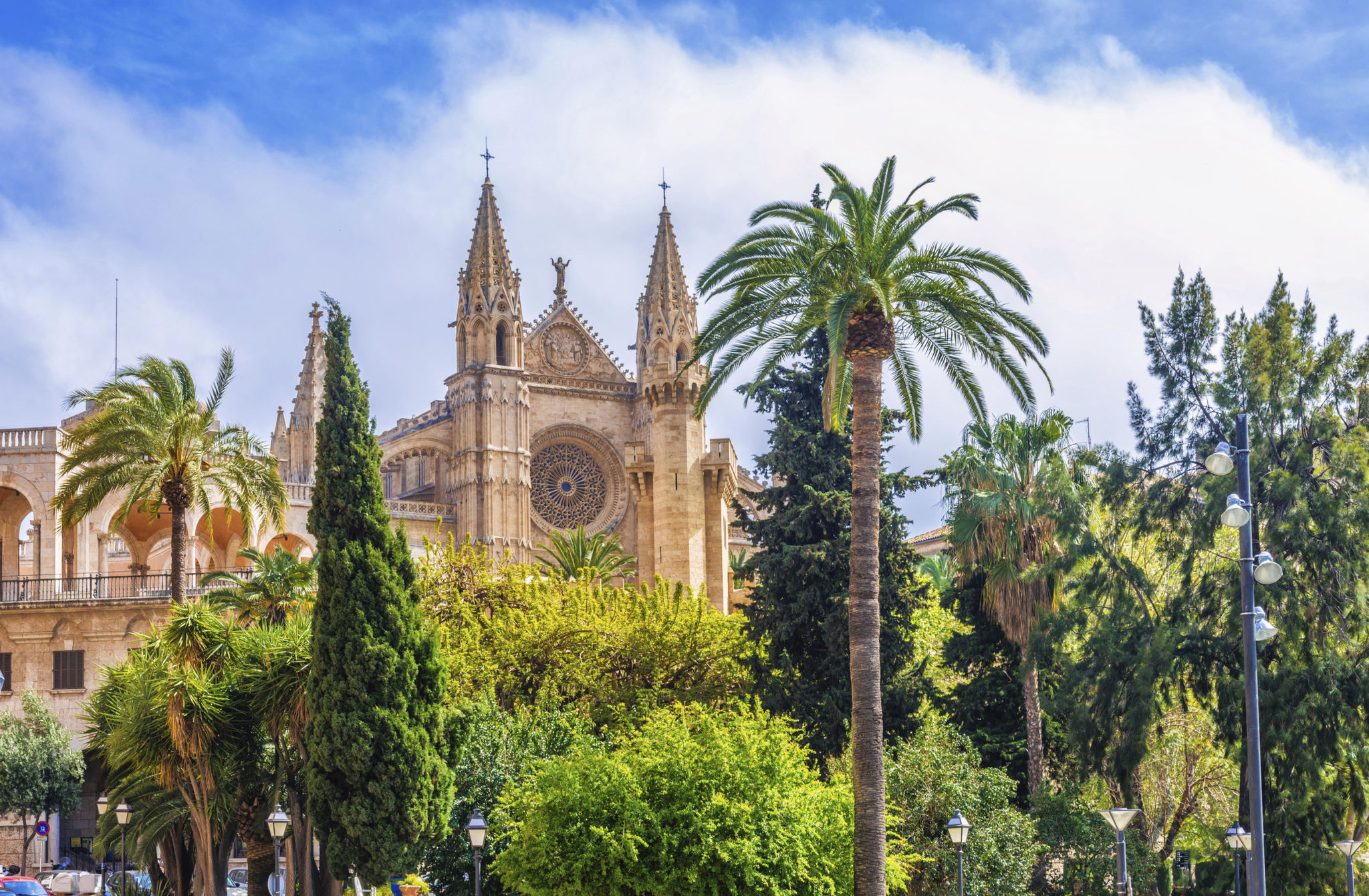 cathedral palma