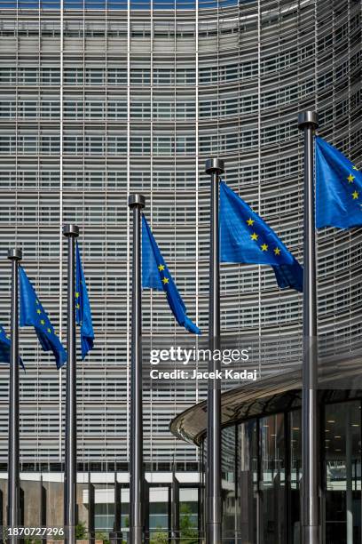 european flags in brussels - all european flags stock pictures, royalty-free photos & images