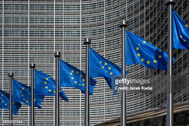 european flags in brussels - commission européenne photos et images de collection