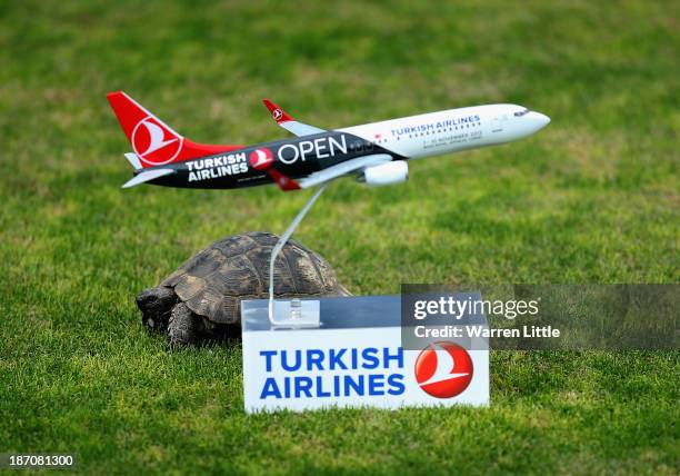 Tortoise passes a tee marker during the pro-am as a preview for the Turkish Airlines Open at Montgomerie Maxx Royal Course on November 6, 2013 in...