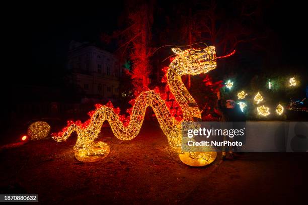 An illuminated dragon figure is seen at the University Botanical garden in Warsaw, Poland on 23 December, 2023. The Warsaw University Botanical...