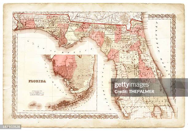 karte von florida, 1868 - east carolina v south florida stock-grafiken, -clipart, -cartoons und -symbole