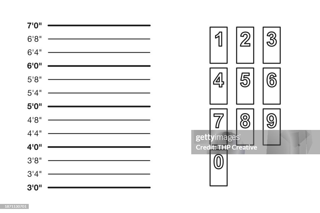 Mugshot Height Chart HighRes Vector Graphic Getty Images