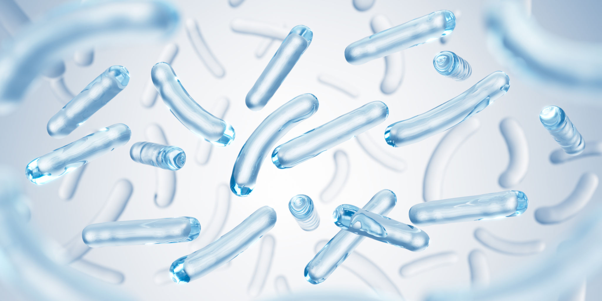 probiotics