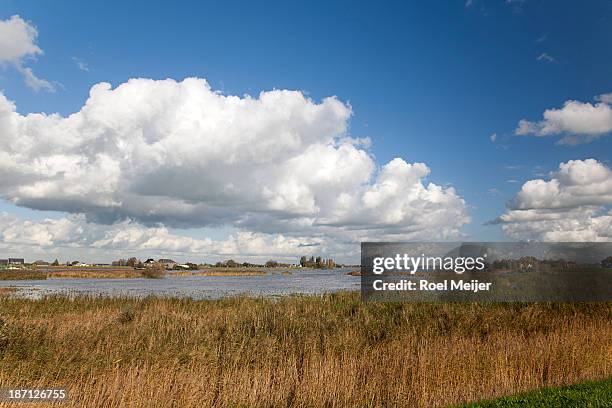 dutch river lek with foreland - fluss lek stock-fotos und bilder