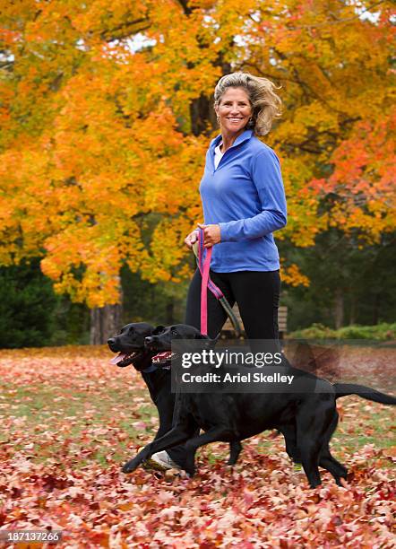 caucasian woman walking dogs in park - mature adult walking dog stock pictures, royalty-free photos & images