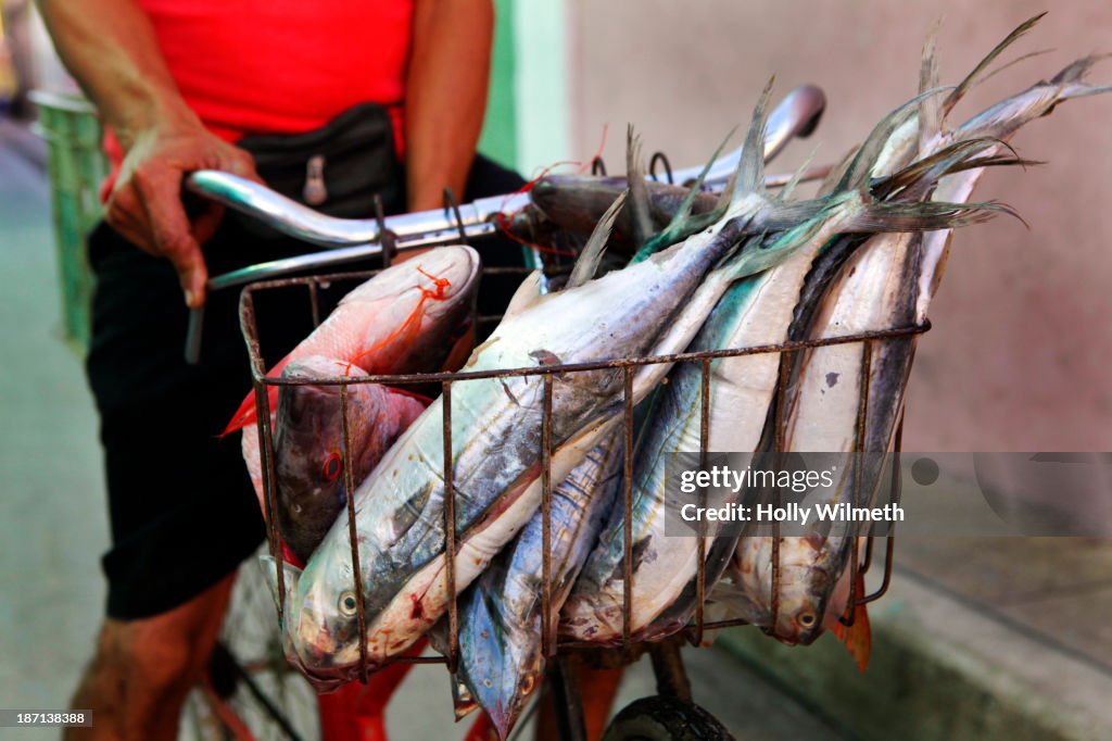 Man with freshly caught fish in bicycle basket