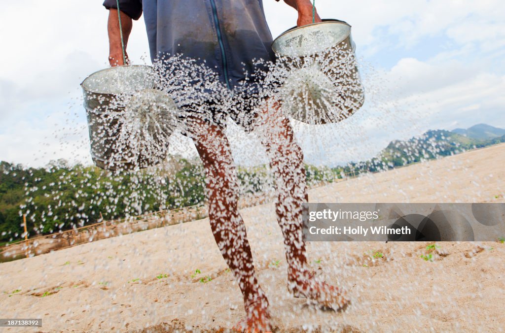 Farmer watering fields