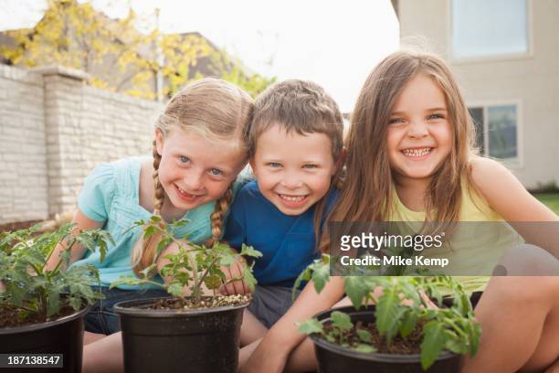 caucasian children gardening in backyard - mike glad stock-fotos und bilder