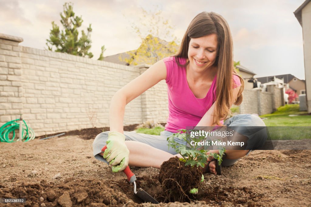 Caucasian woman planting in backyard
