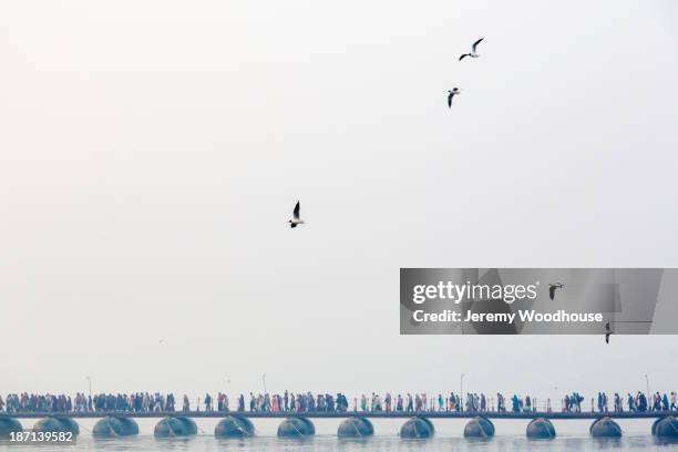 birds flying over people on bridge, allahabad, uttar pradesh, india - allahabad ストックフォトと画像