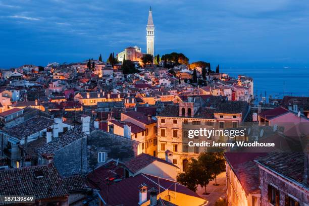 bell tower and city skyline illuminated at night, rovinj, istria, croatia - rovinj stock pictures, royalty-free photos & images