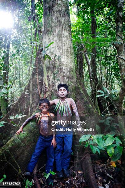 hispanic boys with painted body in jungle, lago izabal, guatemala - guatemala bildbanksfoton och bilder
