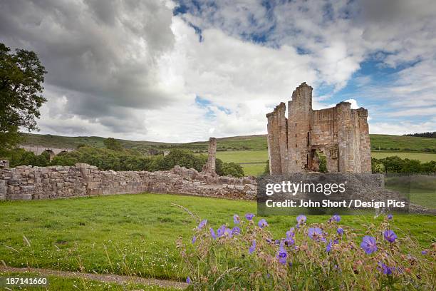 edlingham castle - northumberland stock pictures, royalty-free photos & images