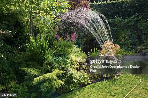 a sprinkler watering a beautifully landscaped yard - garden hose stock pictures, royalty-free photos & images