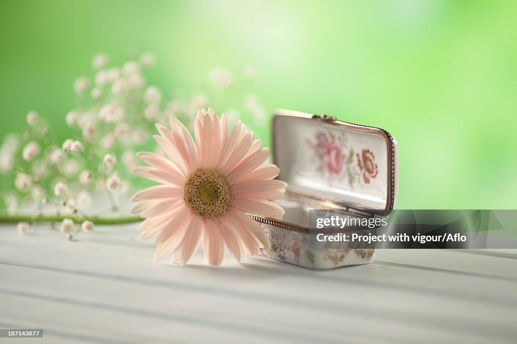 Jewel box and Gerbera flower