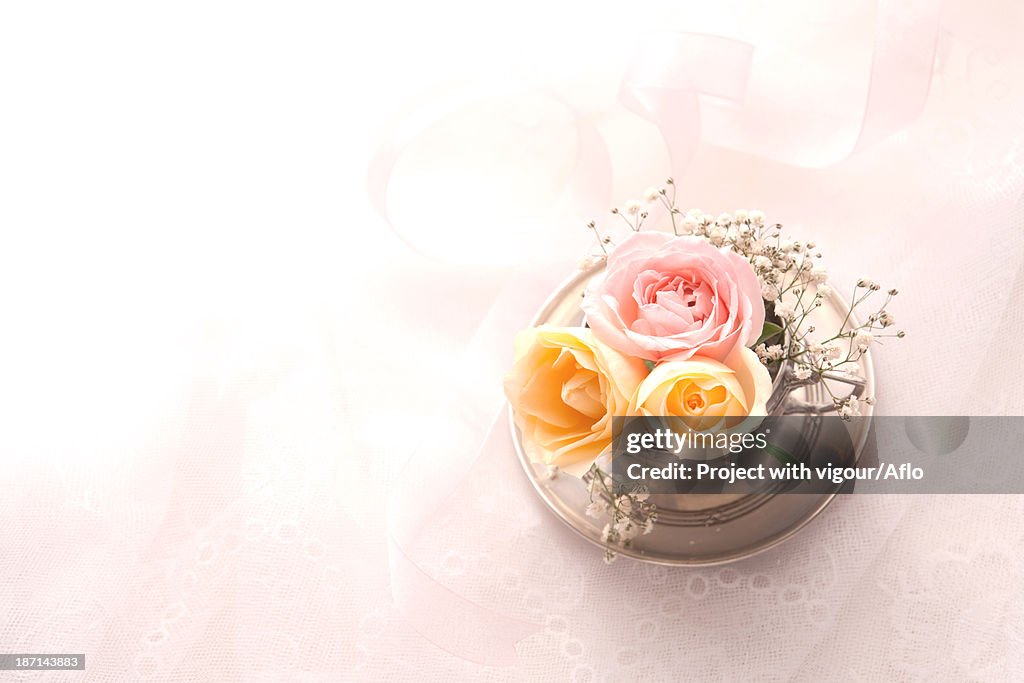 Roses of various colors in a metal cup