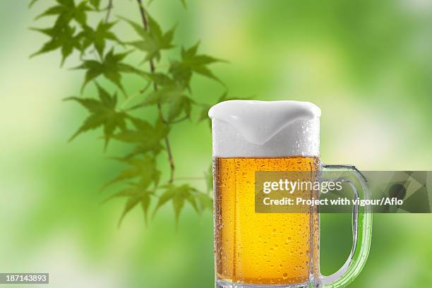 glass of beer and green leaves - bierkrug stock-fotos und bilder