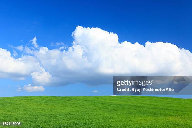wheat field and clouds, hokkaido - toma panorámica fotografías e imágenes de stock