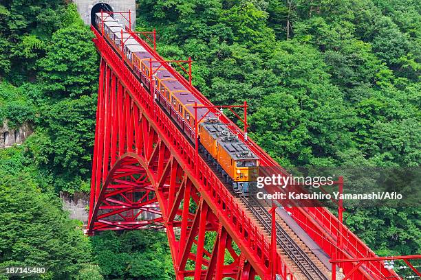 kurobe gorge railway, toyama prefecture - toyama prefecture stockfoto's en -beelden