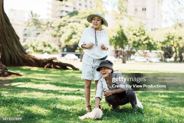 mujer coreana acariciando a su perro mientras está en el parque con un amigo - perro adiestrado fotografías e imágenes de stock