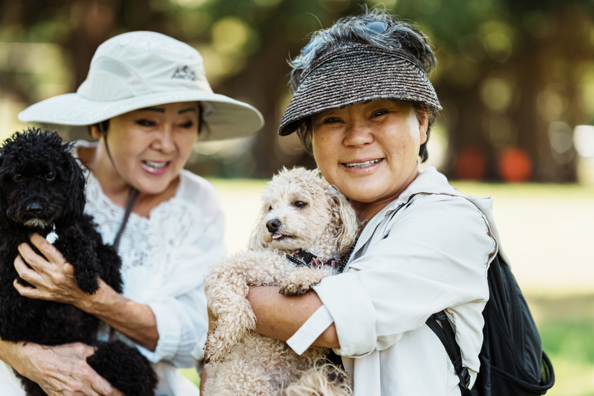community wellness