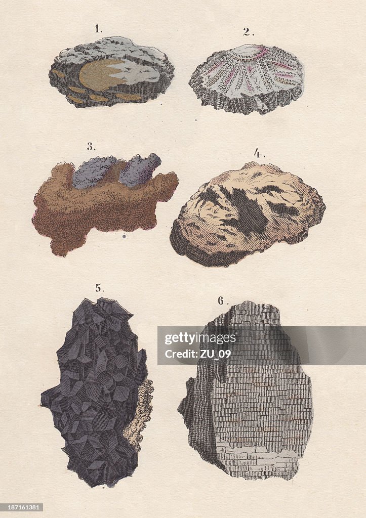 Ores: gold, silver, copper, iron, tin, potter's, hand-coloured lithograph, 1880