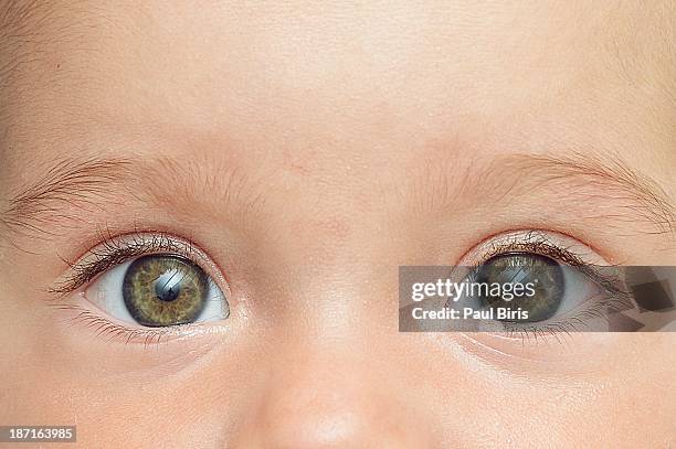 eyes on you - mures stock pictures, royalty-free photos & images
