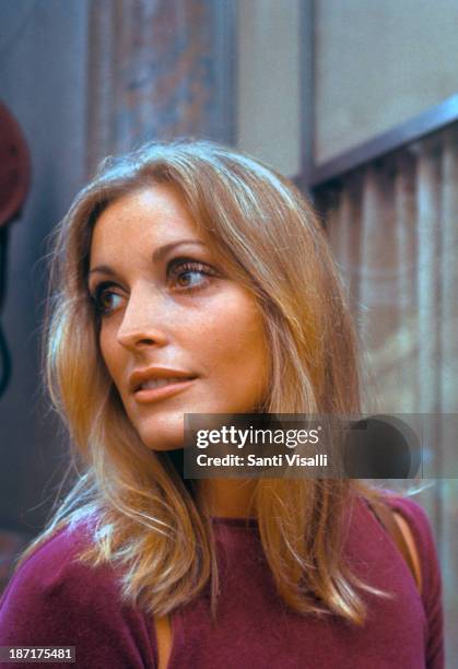 Actress Sharon Tate visiting the set of Rosemary's Baby on August 15,1967 in New York, New York.