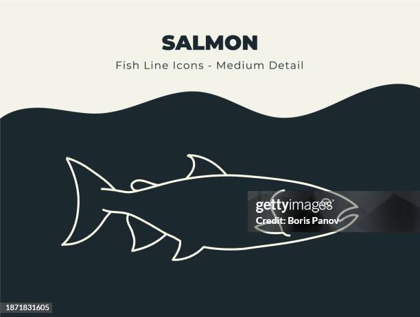 ilustraciones, imágenes clip art, dibujos animados e iconos de stock de conjunto de iconos de línea de pesca de océano y río salmón. sumérgete en un mar de creatividad con una gran cantidad de vectores de poblaciones de peces fantásticos, que ofrecen una gran cantidad de escamas, aletas y vida marina acuática - salmon