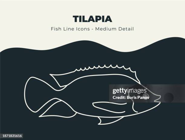 tilapia ocean and river fish line icon set. dive into a sea of creativity with an abundance of fin-tastic fish stock vectors, offering a bounty of scales, fins, and aquatic marine life - tilapia meal stock illustrations