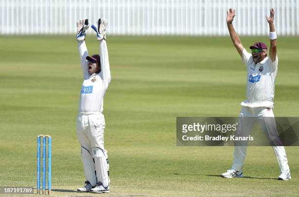 Chris Hartley and Ryan Harris of the Bulls successfully appeal for the wicket of Ben Hilfenhaus of the Tigers during day two of the Sheffield Shield...