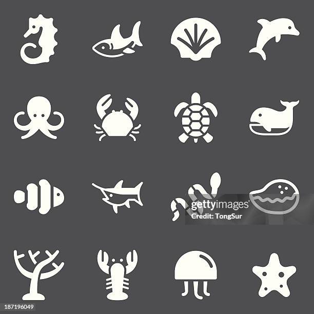 ilustrações de stock, clip art, desenhos animados e ícones de vida marinha-branco conjunto de ícones/série - marine icon
