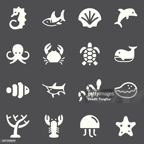 marine life icons | set - white series - tentacle stock illustrations