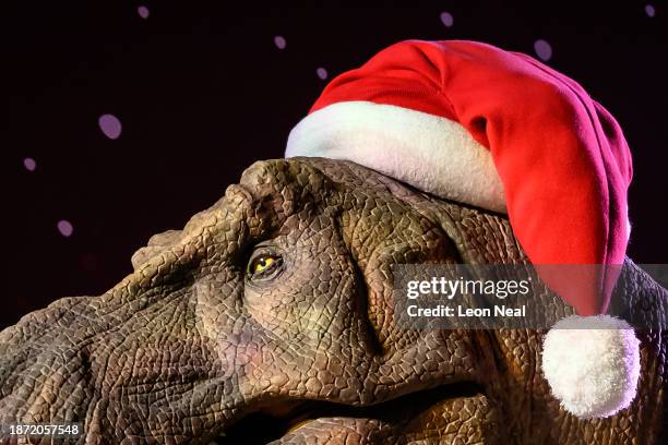 An animated model of a Tyrannosaurus Rex is seen wearing a Santa hat and festive jumper in it's Christmas-themed display at the Natural History...