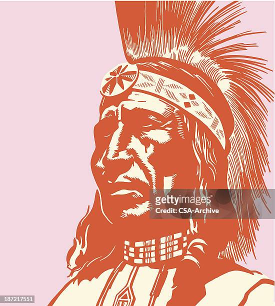portrait of an indian chief - headdress stock illustrations